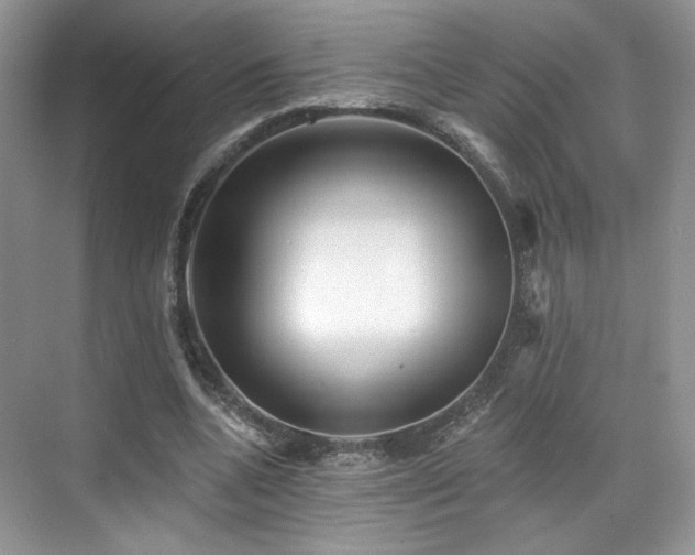 X0000070240536200606091337