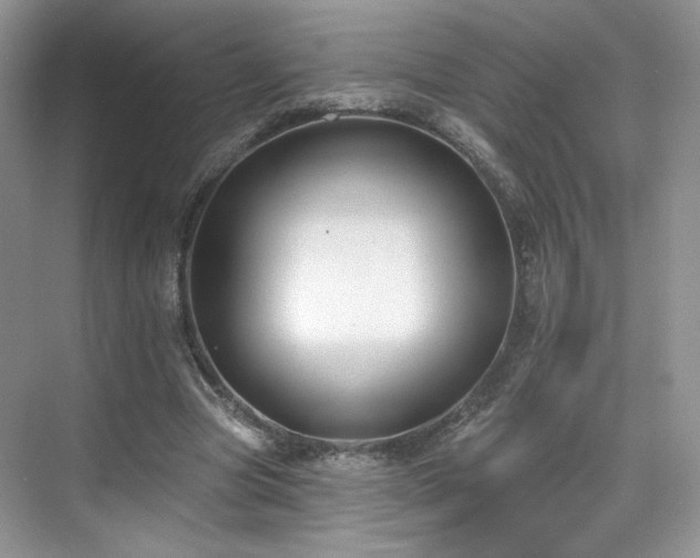 X0000070240537200606091337