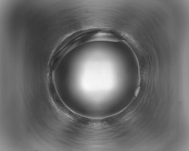 X0000070240540200606091337