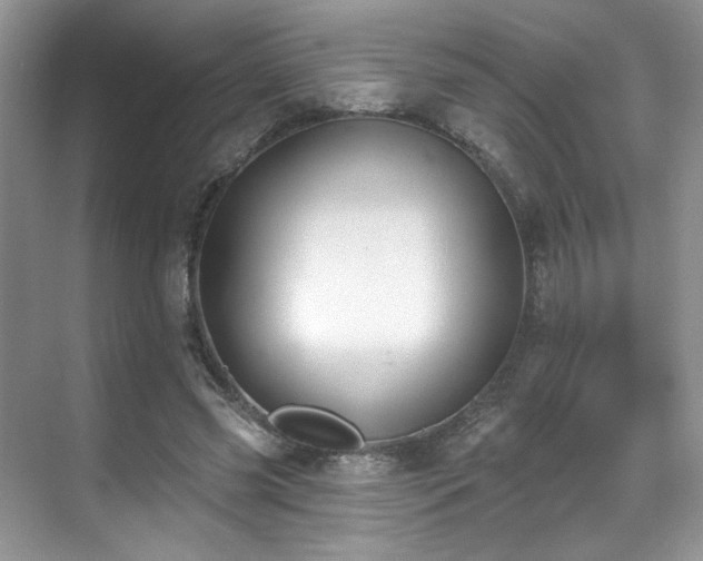 X0000070240541200606091337