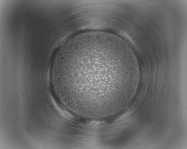 X0000070240542200606091337