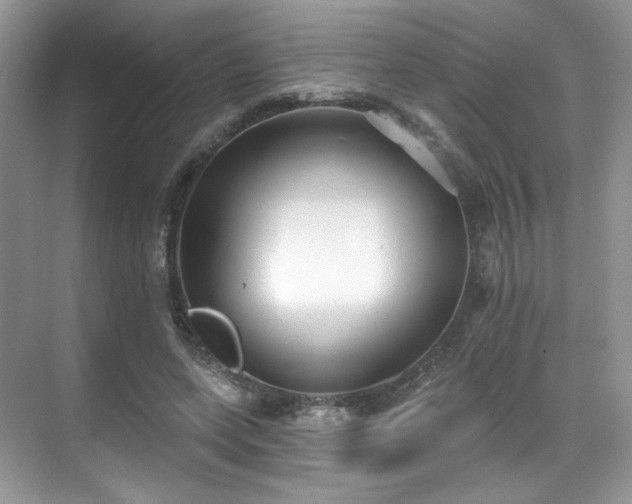 X0000070240543200606091337