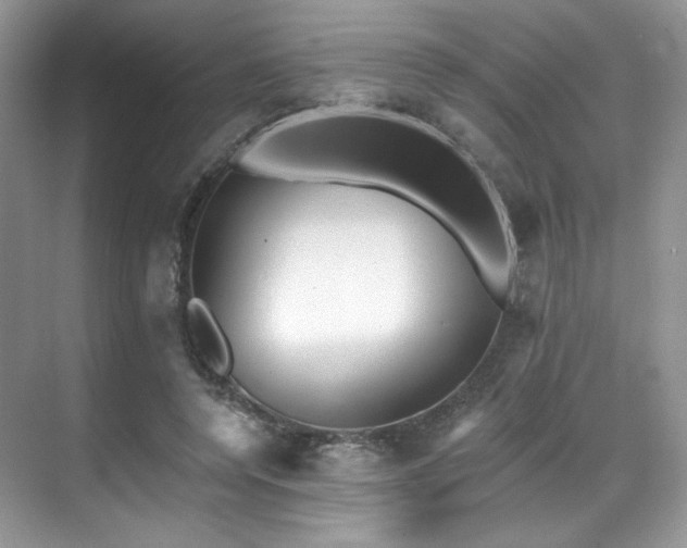 X0000070240544200606091337