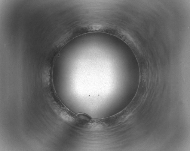 X0000070240545200606091337