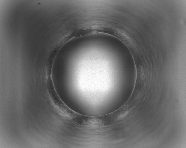 X0000070240546200606091337