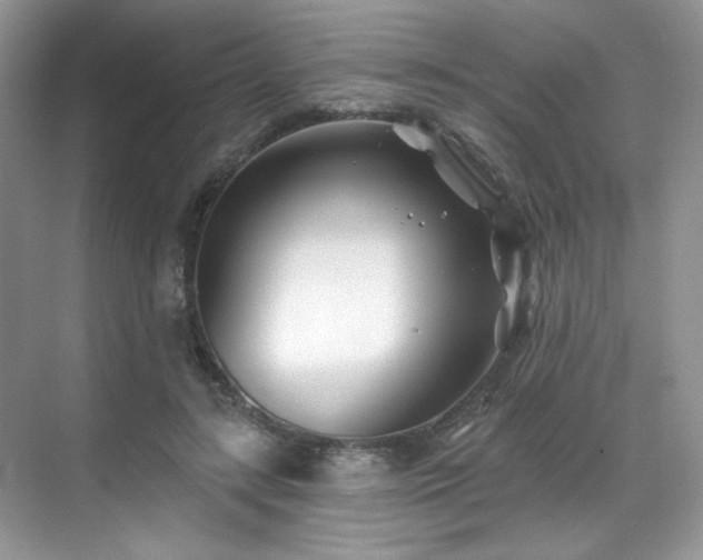 X0000070240547200606091337