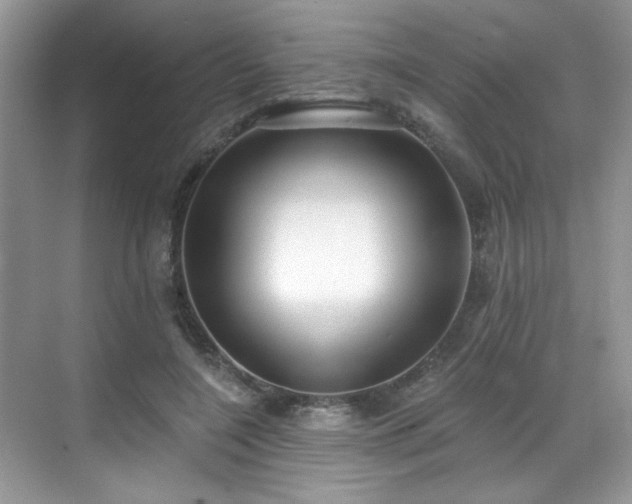 X0000070240548200606091337