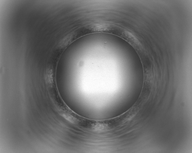 X0000070240549200606091337