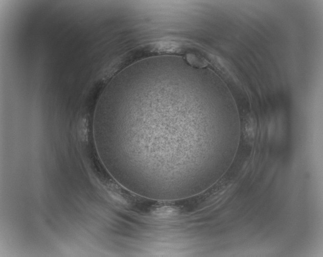 X0000070240551200606091337