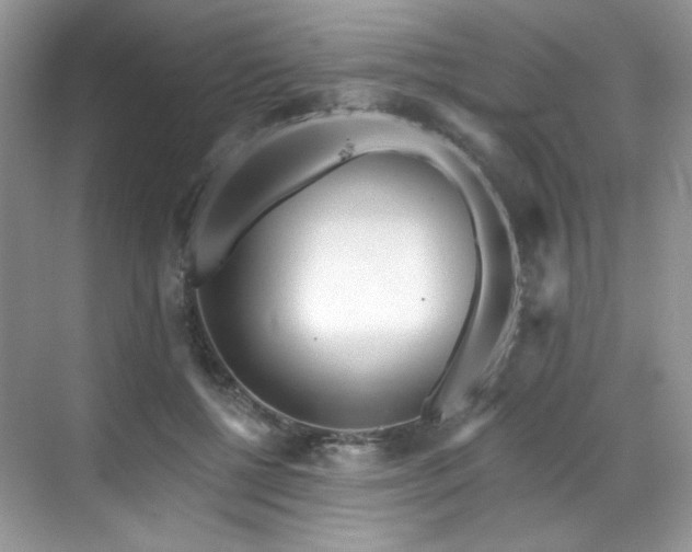 X0000070240552200606091337