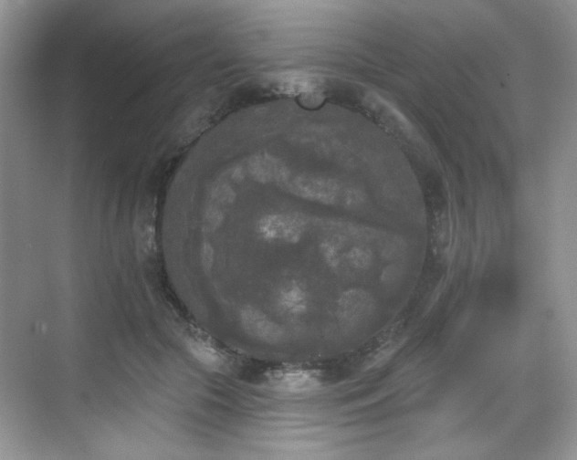 X0000070240553200606091337