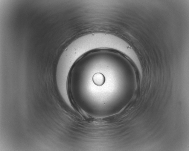 X0000070240556200606091337