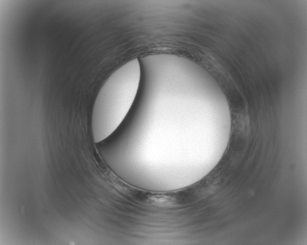 X0000070240557200606091337