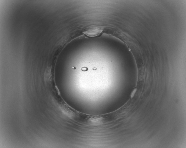 X0000070240560200606091337