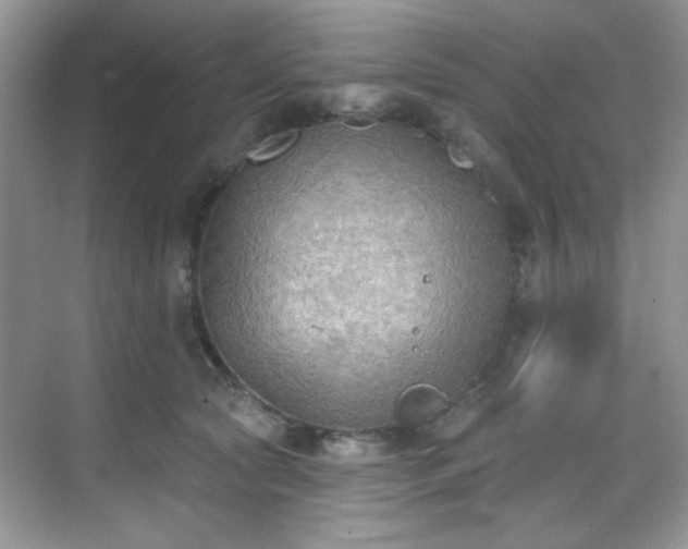 X0000070240561200606091338