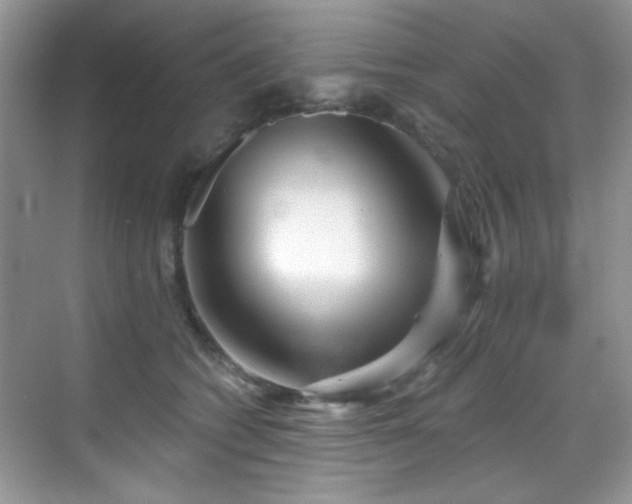 X0000070240562200606091338