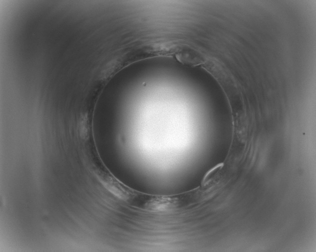 X0000070240563200606091338