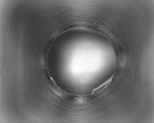 X0000070240564200606091338