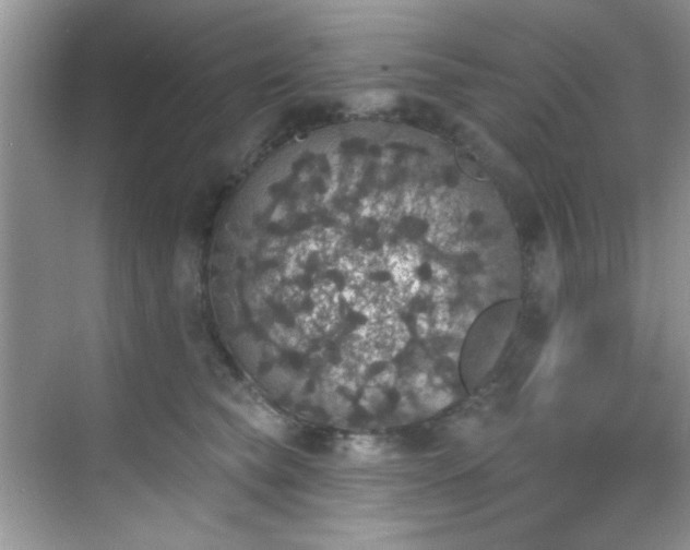 X0000070240565200606091338