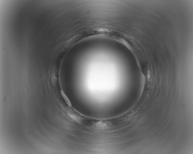 X0000070240566200606091338