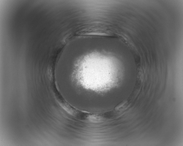 X0000070240568200606091338