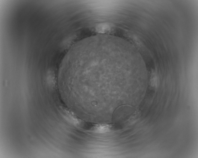 X0000070240569200606091338