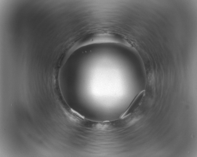 X0000070240570200606091338