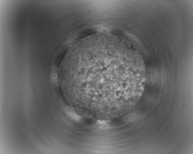 X0000070240573200606091338