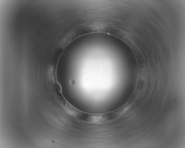 X0000070240575200606091338