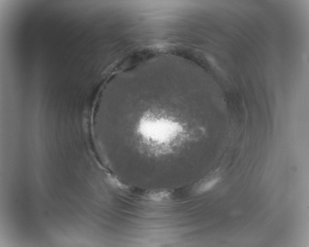 X0000070240576200606091338