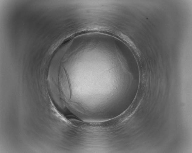 X0000070240577200606091337