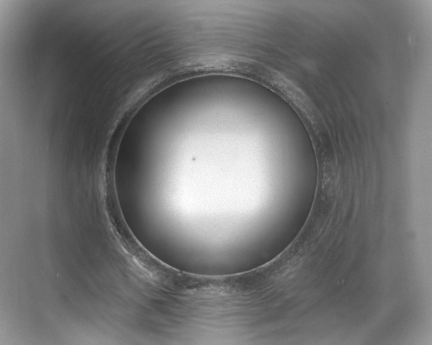 X0000070240578200606091337