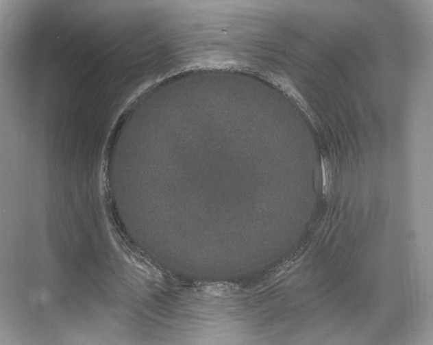 X0000070240579200606091337