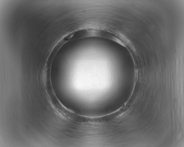 X0000070240580200606091337