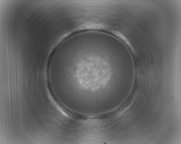 X0000070240581200606091337