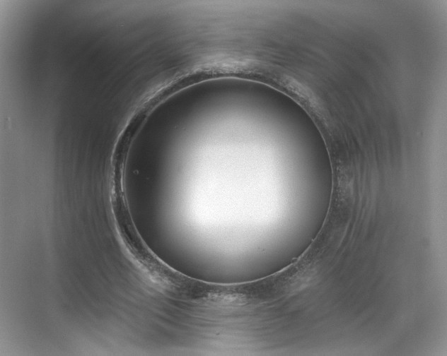 X0000070240582200606091337