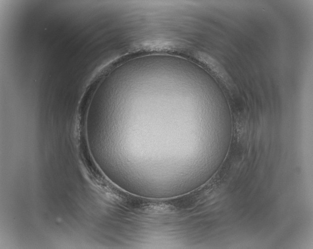 X0000070240583200606091337