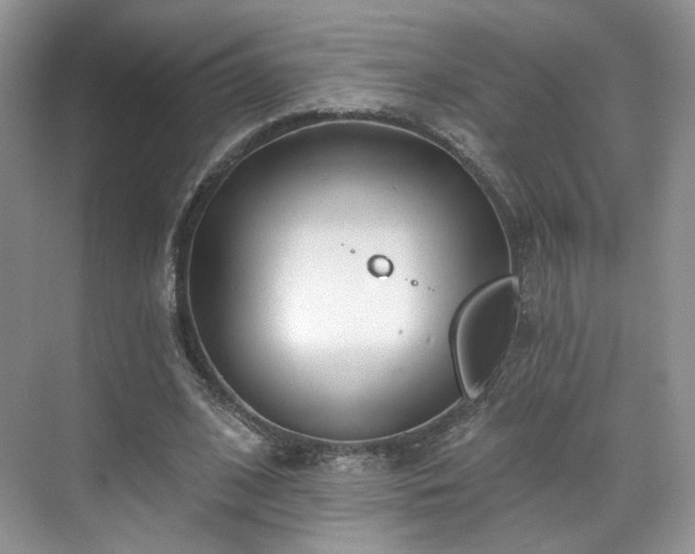 X0000070240584200606091337