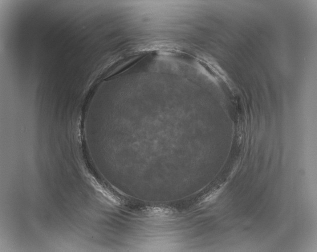 X0000070240585200606091337