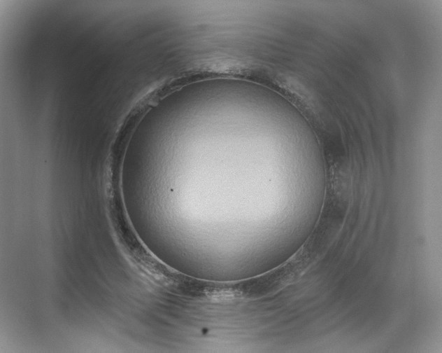 X0000070240587200606091337