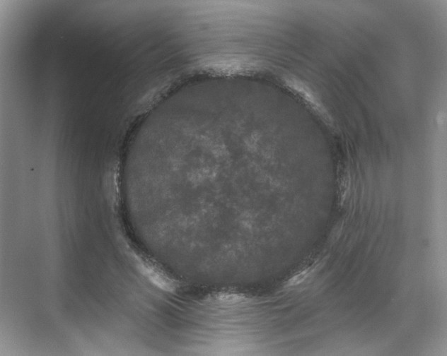 X0000070240590200606091337