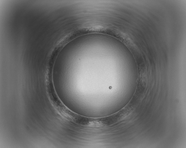 X0000070240591200606091337