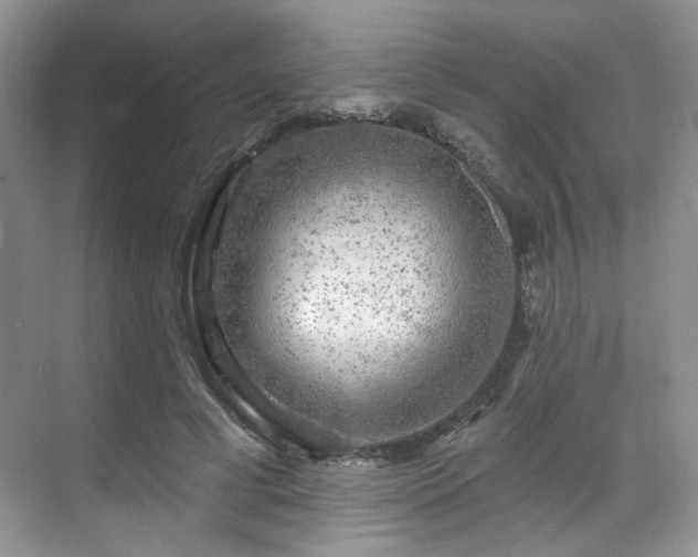 X0000070240593200606091337