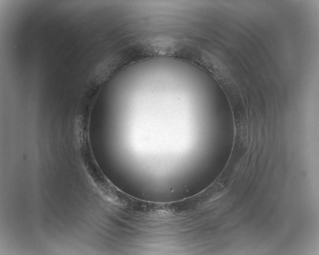 X0000070240594200606091337