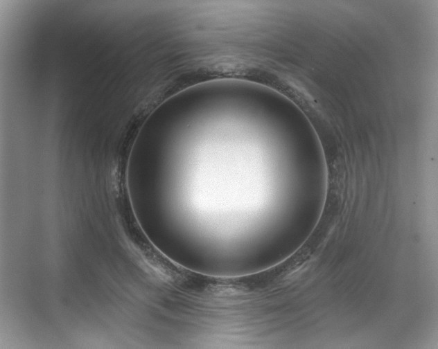 X0000070240597200606091337