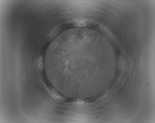 X0000070240598200606091337