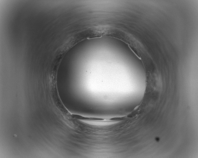 X0000070240601200606091337