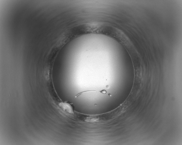 X0000070240602200606091337