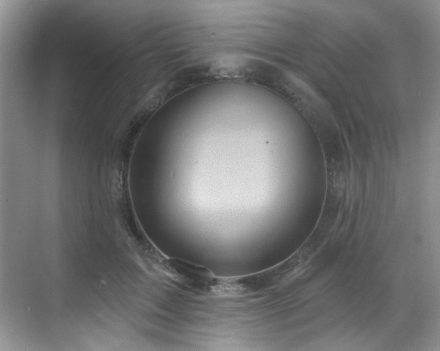 X0000070240603200606091337