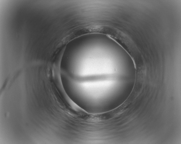 X0000070240604200606091337